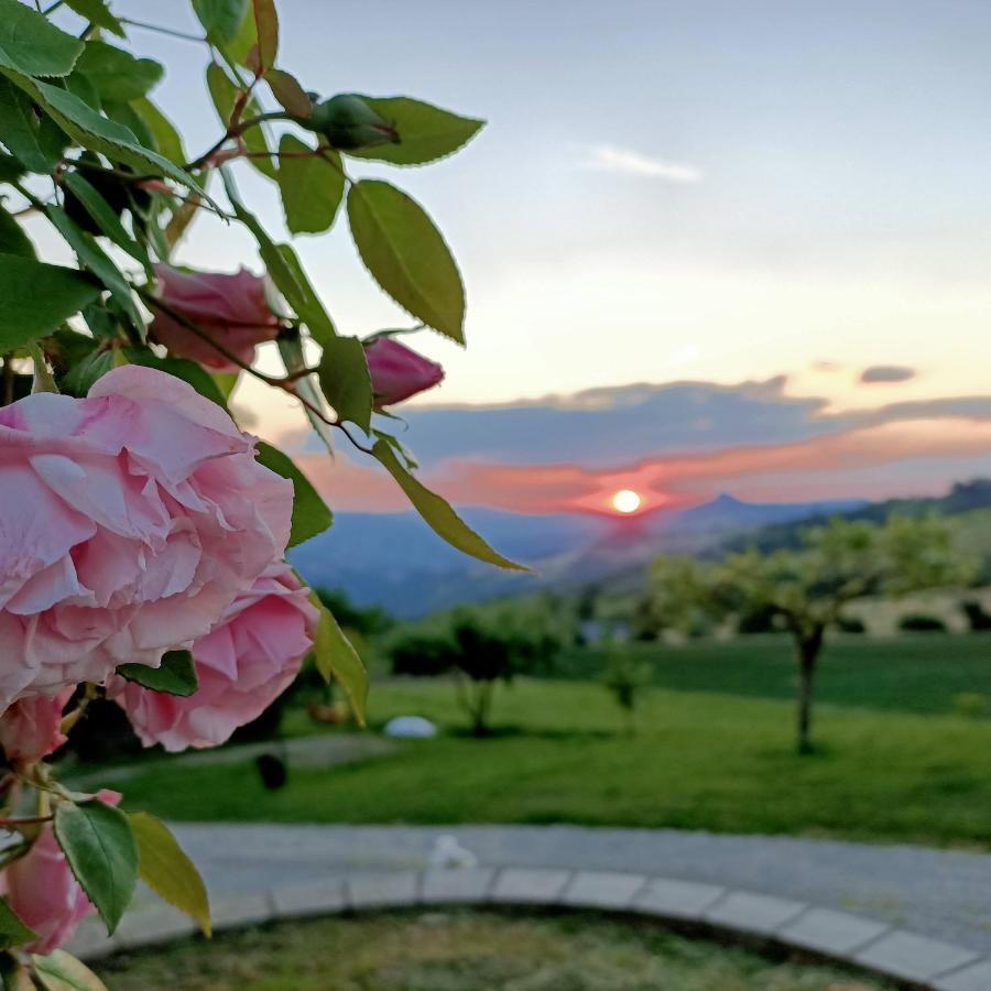 Agriturismo La Casetta - Ospitalita Rurale Familiare Montese Exteriér fotografie