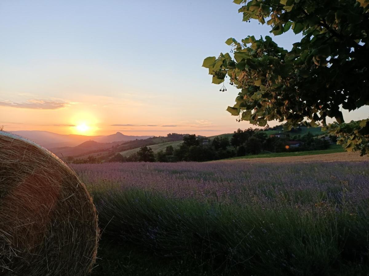 Agriturismo La Casetta - Ospitalita Rurale Familiare Montese Exteriér fotografie
